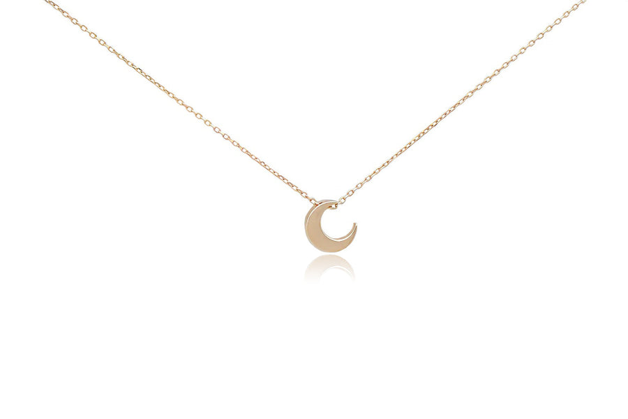 Auksinė grandinėlė su pakabuku